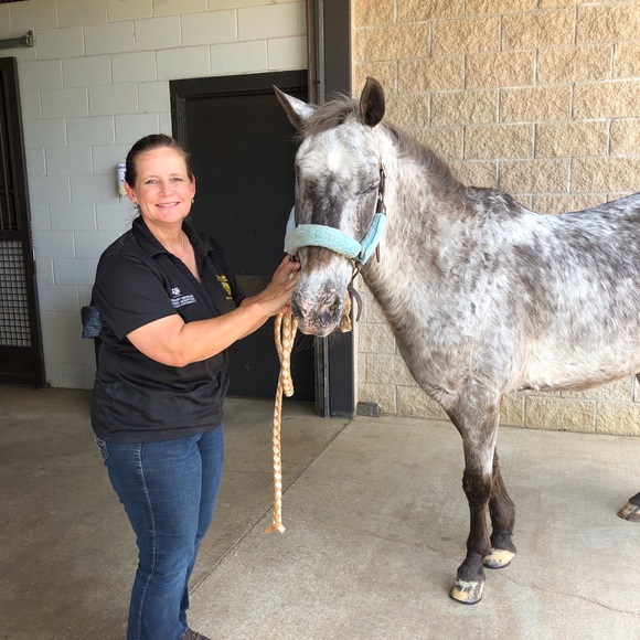 There is a better world ahead! - Picture 8 of 10